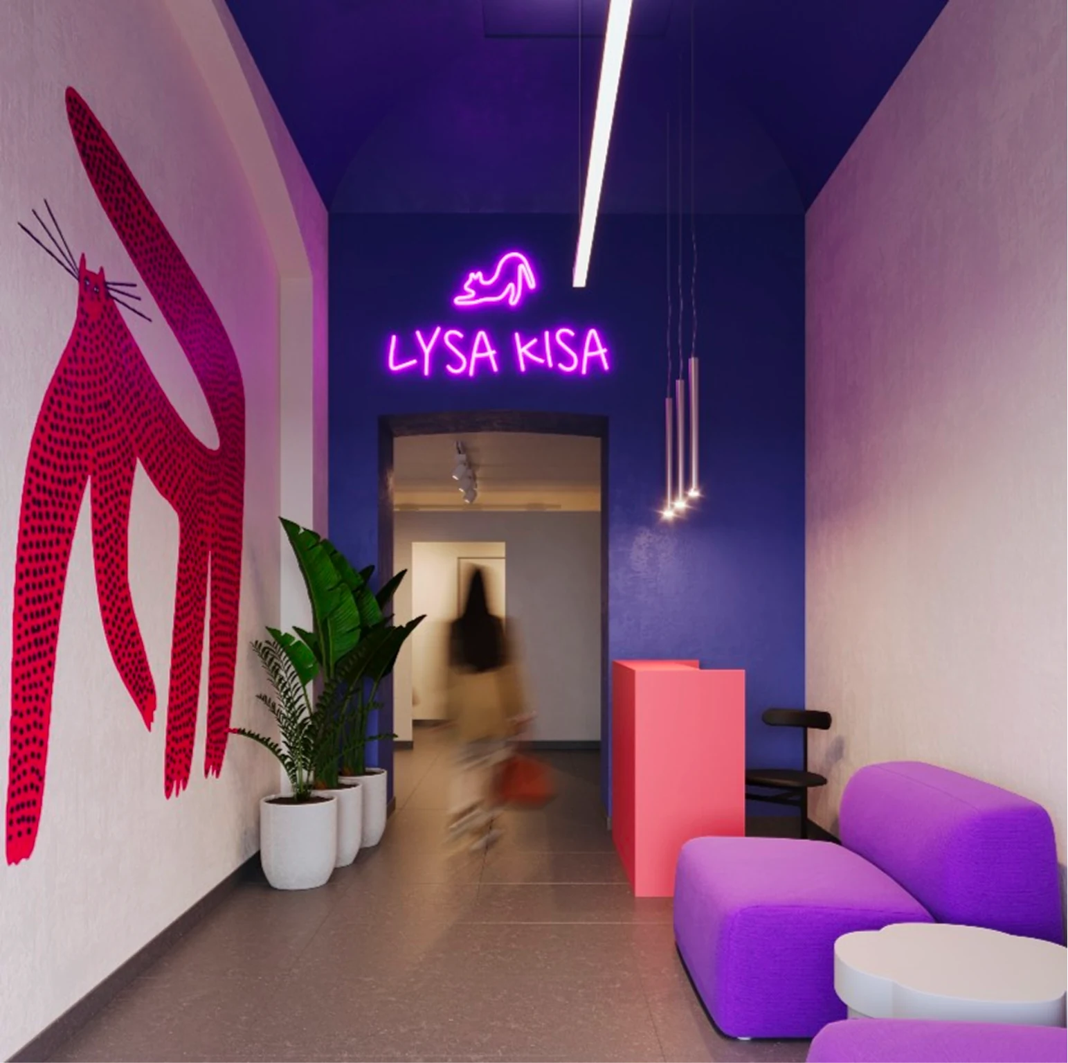 Lysa Kisa Praha 3 reception